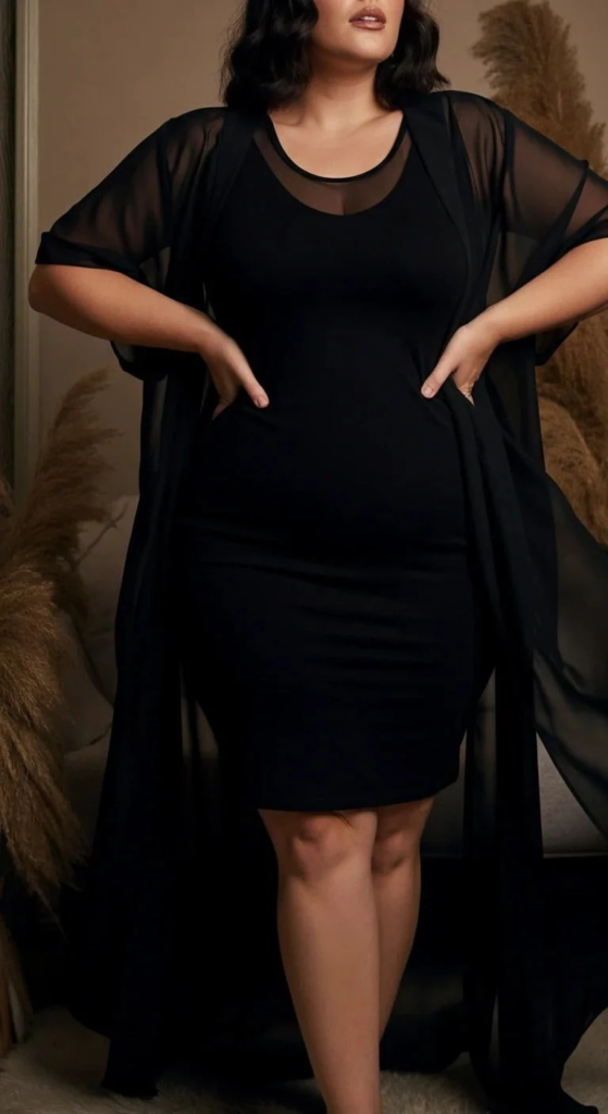 Bodycon with Sheer Overlay